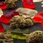 Delta 9 Gummies – Cannabis and THC in the CBD Industry