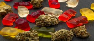Delta 9 Gummies – Cannabis and THC in the CBD Industry