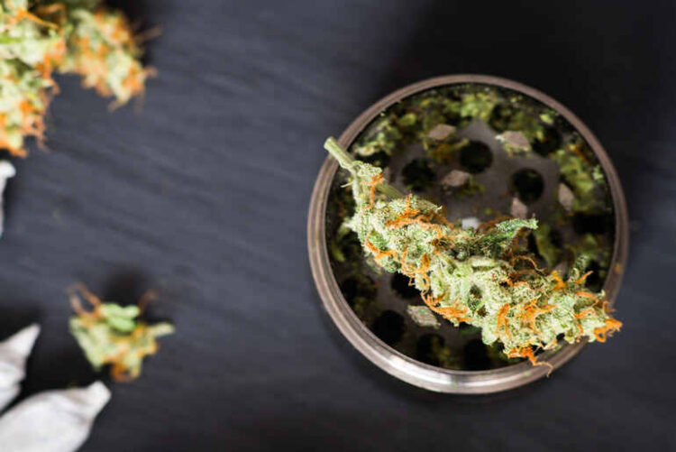 THCA Flowers for Anxiety: Strains That Actually Work